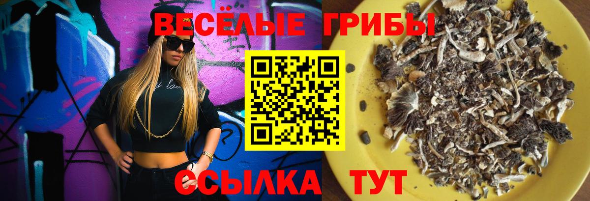 цены наркотик  Псилоцибиновые грибы мицелий  Вход с VPN  Гудермес  Галлюциногенные грибы мицелий 